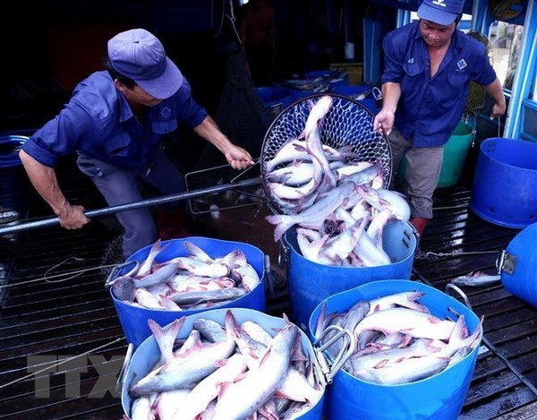 CPTPP gives great chances for Vietnam’s tra fish exports
