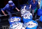 CPTPP gives great chances for Vietnam’s tra fish exports