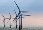 Investor permitted to start survey for giant offshore wind power farm