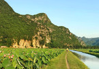 Top five most beautiful lotus ponds in Hanoi and HCM City