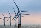 Vietnam to develop 5,000 MW of offshore wind power by 2030