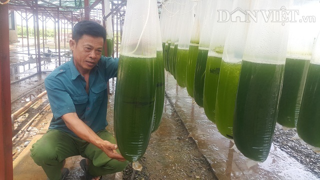 Chế thứ nước xanh lè bán thu tiền tỷ, anh cán bộ làm giàu không khó