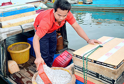 Săn loài cá bé li ti ngon nức tiếng trên lòng hồ thủy điện Trị An