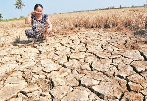 Việt Nam có trên 10 triệu ha đất đang có nguy cơ bị suy thoái
