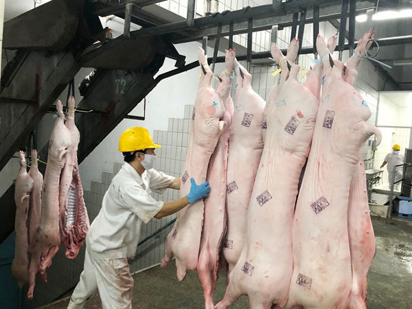 In HCM City, administration, sellers closely monitor pork for disease