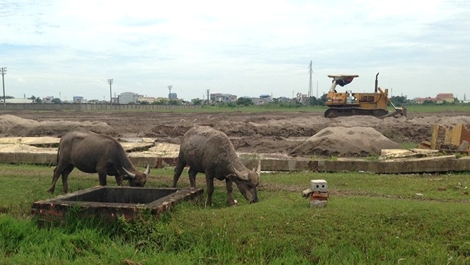 Sau 10 năm được cấp giấy chứng nhận, nhưng đến nay nhiều diện tích đất vàng tại Khu công nghiệp Mỹ Trung vẫn trong tình trạng “xác sống”. Ảnh: Báo Đầu tư.