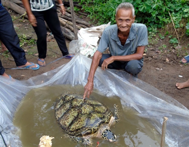 Endangered sea turtle found in fishing net