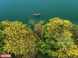 Vietnam's landscapes via Trung Pham's photos