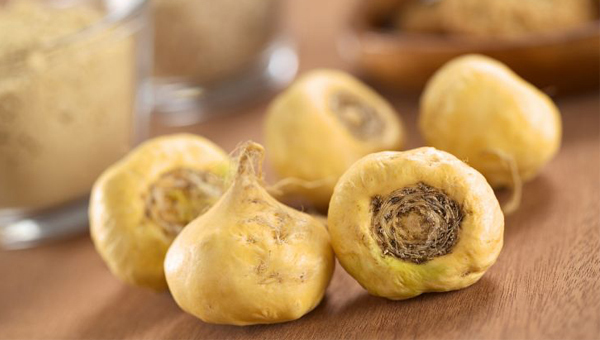 Loại cây là thần dược phòng the , thu hoạch xong phải mất 7 năm mới trồng tiếp