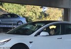 Tài xế Tesla ngủ "ngoẹo đầu" để mặc xe chạy trên cao tốc