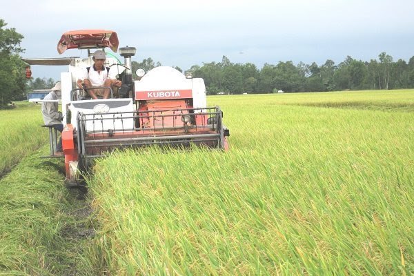 Agricultural production poses environmental risk for Vietnam: expert