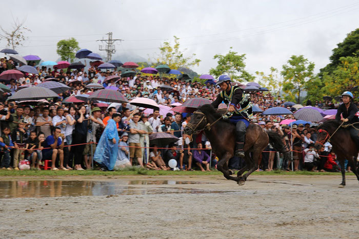 Lần đầu tiên tổ chức đua ngựa ở Fansipan