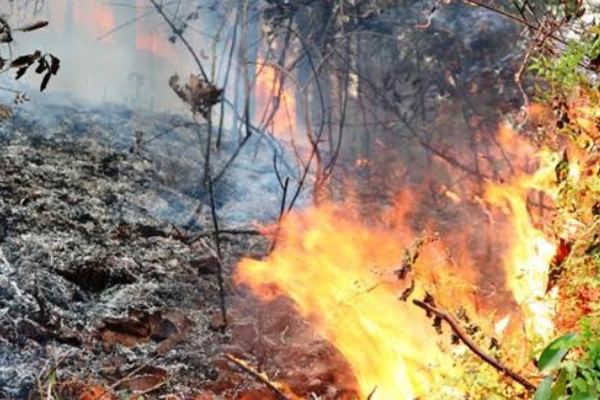 Đốt nương làm rẫy, cụ ông 88 tuổi ở Đà Nẵng chết cháy