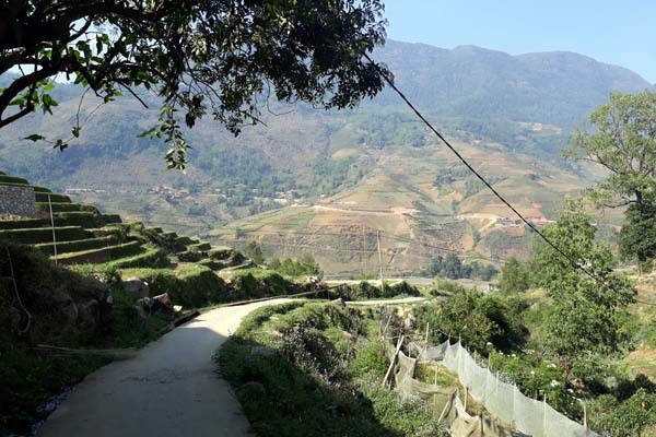 Một lần sa ngã khiến tôi đẩy hạnh phúc của mình tới nguy cơ tan vỡ