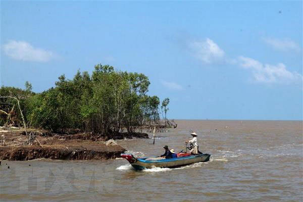 Sea dike erosion worsens in Kien Giang