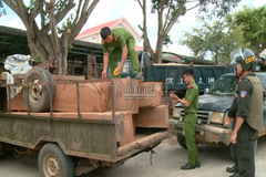 Cảnh sát Đắk Lắk nổ hàng loạt phát súng bắt nhóm lâm tặc liều lĩnh