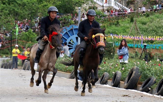 Fansipan Horse Race ‘Galloping Horses’ 2019