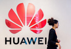'Đuôi thằn lằn' của Huawei vẫn còn ở Mỹ, ẩn thân chờ thời