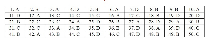 Đáp án mã đề 104 môn Toán thi THPT quốc gia 2019