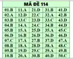 Đáp án đề thi môn Toán thpt quốc gia 2019 mã đề 114