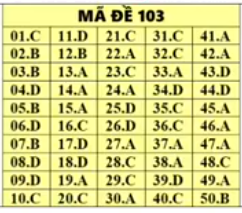 Đáp án tham khảo môn Toán thi THPT quốc gia 2019 tất cả mã đề