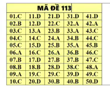 Đáp án tham khảo môn Toán thi THPT quốc gia 2019 tất cả mã đề