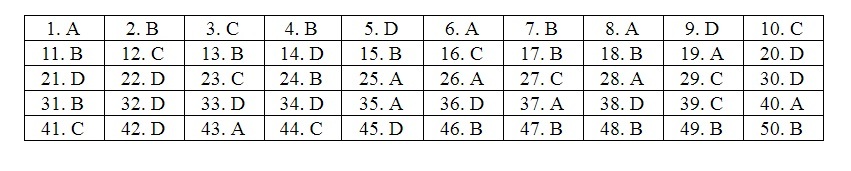 Đáp án mã đề 116 môn Toán thi THPT quốc gia 2019