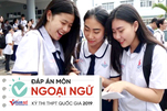 Đáp án tham khảo môn Tiếng Anh thi THPT Quốc gia năm 2019 tất cả mã đề