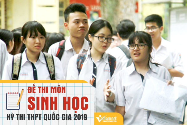 Đề thi THPT quốc gia môn Sinh học 2019 chính thức của Bộ GD-ĐT