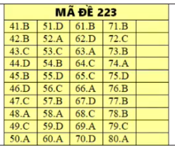 Đáp án tham khảo môn Hóa học thi THPT quốc gia 2019 tất cả các mã đề