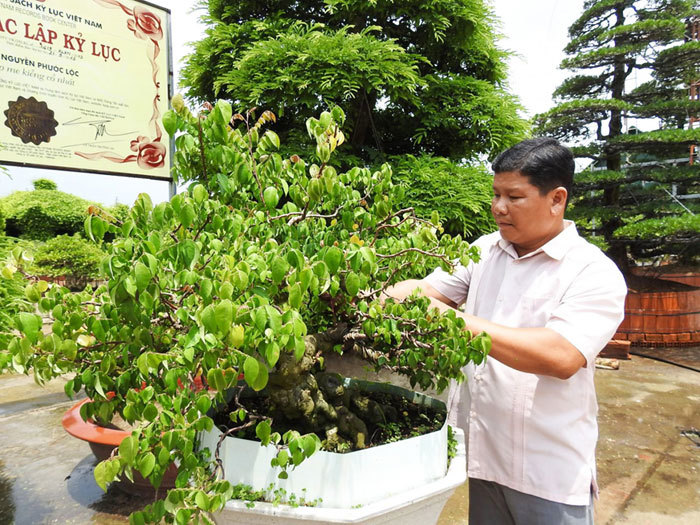 Bỏ lỡ đại học Bách khoa ra lại làm chủ vườn kiểng 100 tỷ