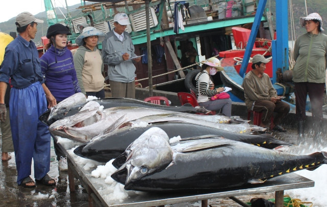 Cá Việt 37 triệu cá Nhật 70 tỷ, dân ta bao giờ mới giàu