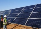 Solar power a victim of its own success