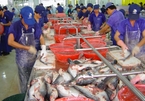Processing seafood by-products – the billion-USD industry