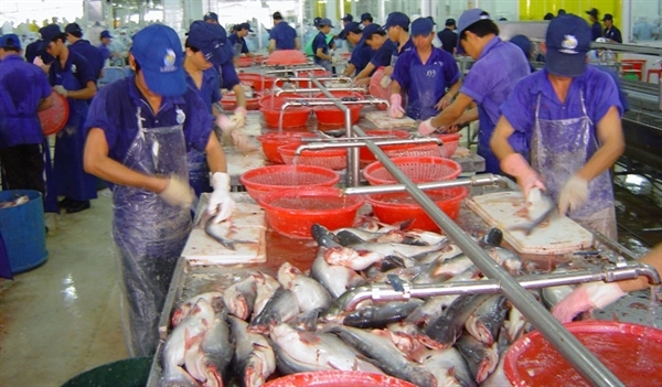 Processing seafood by-products – the billion-USD industry