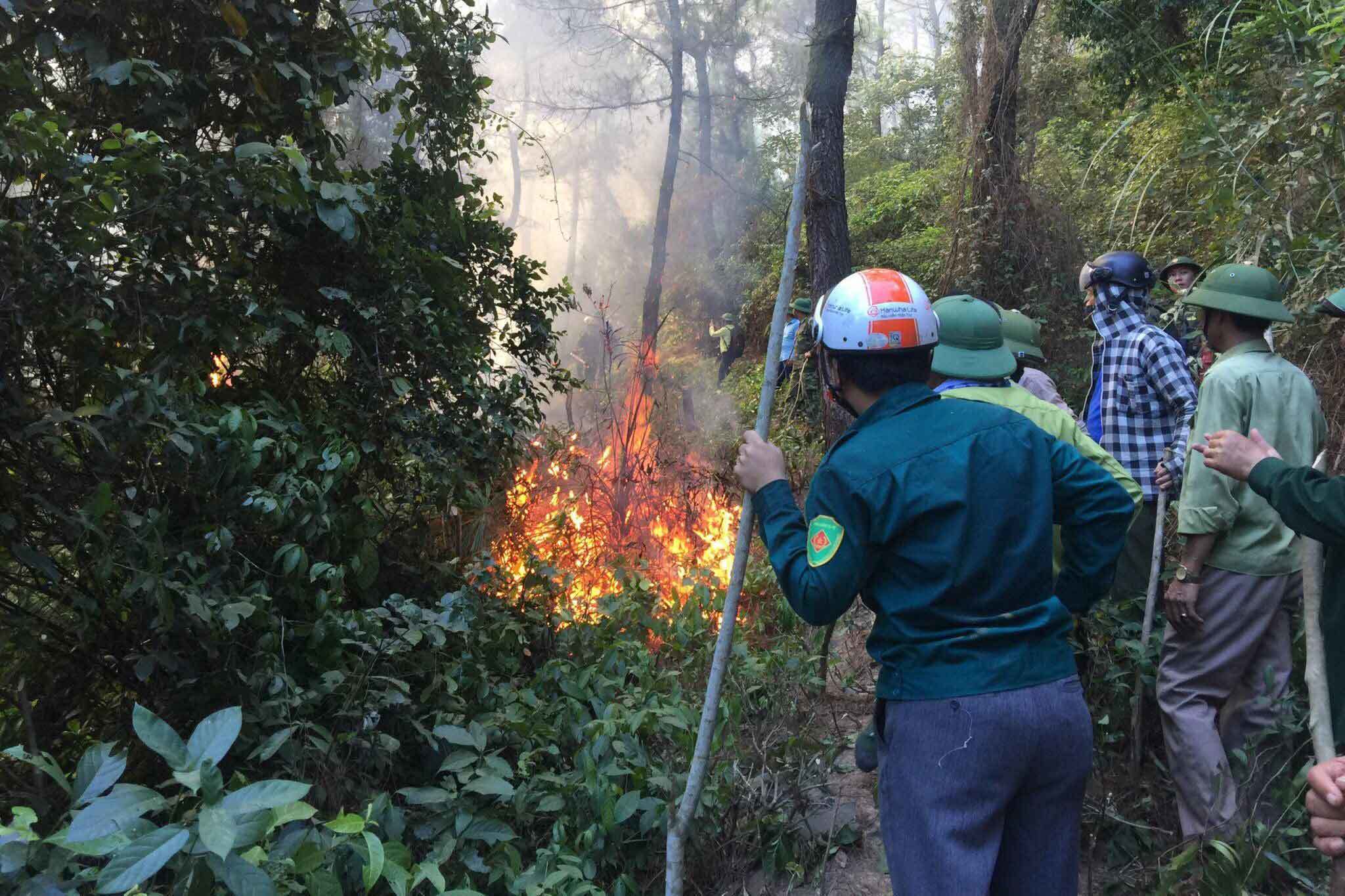 Cháy rừng thông lớn nhất Hà Tĩnh, tạm giữ một đối tượng đốt rác