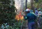 Cháy rừng thông lớn nhất Hà Tĩnh, tạm giữ một đối tượng đốt rác