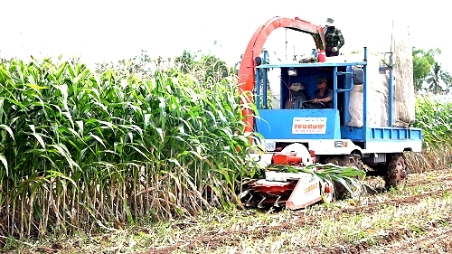 'Kỹ sư làng' chế tạo máy khiến nông dân bái phục ở An Giang