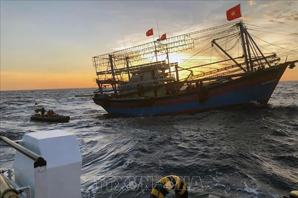 Tìm thấy 4 thi thể trong cabin tàu bị chìm trên biển Bình Thuận