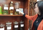 Vietnam not satisfied about medicinal herb preservation