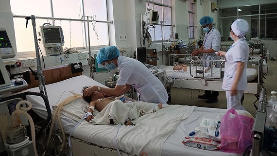 Southern Vietnam see increase in dengue fever patients