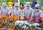 EVFTA paves way for more catfish, shrimp exports to EU