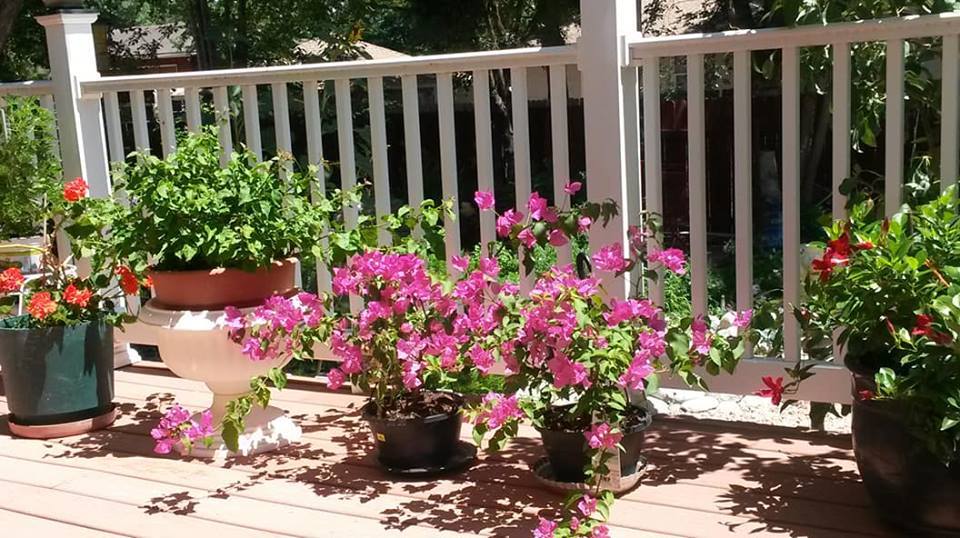 Say tình huấn luyện viên, nữ phó phòng vỡ mộng sau 1 đêm mặn nồng