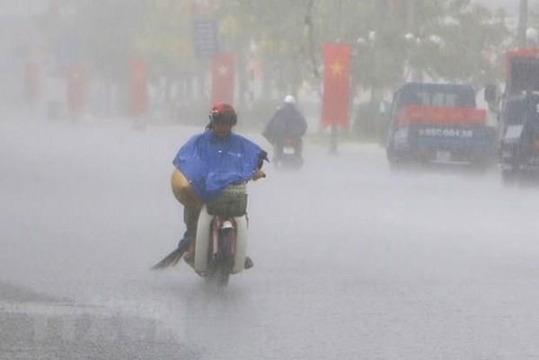 Fewer storms to hit Vietnam in 2019