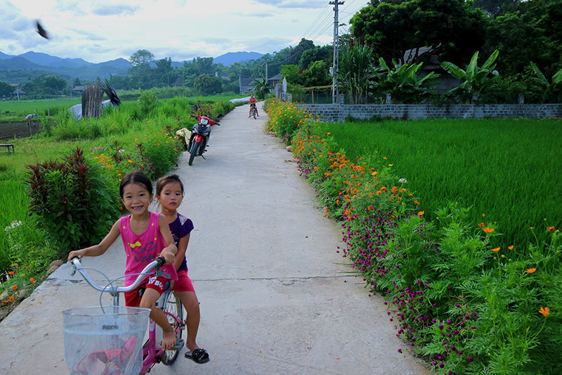 Đẹp nao lòng những con đường rực rỡ sắc hoa ở Yên Bái Ban-lang-tay-bac-voi-du-loai-hoa-khoe-sac-ben-nhung-can-nha-san-day-lang-man-7