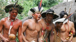 Cuộc chiến sinh tồn của người bản địa Amazon