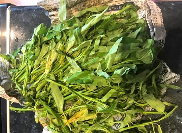 Rau muống ở Việt Nam rẻ bằng cốc trà đá, ra nước ngoài đại gia mới dám mua ăn