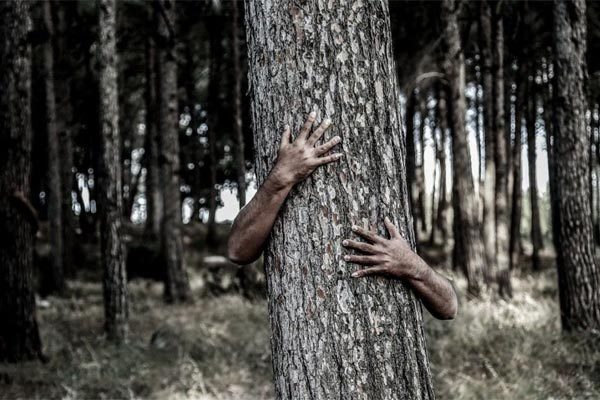 Nghi phạm sa lưới vì 'xì hơi' ngoài ý muốn