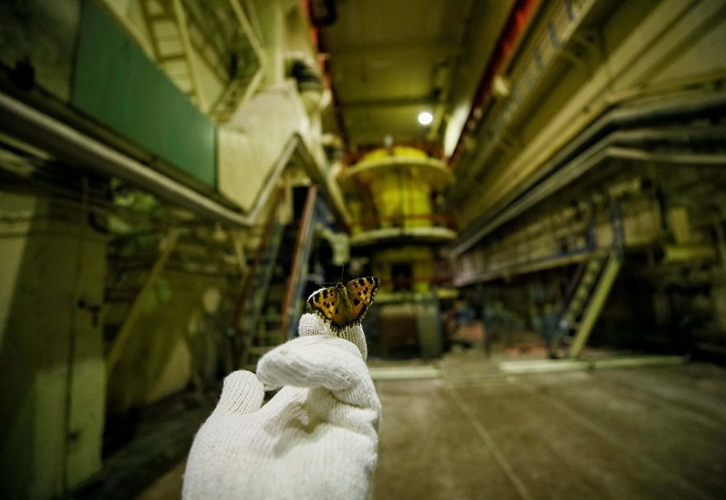 ‘Vùng chết chóc’ Chernobyl sẽ trở thành điểm du lịch