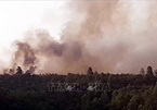 Quang Nam extinguishes three forest fires
